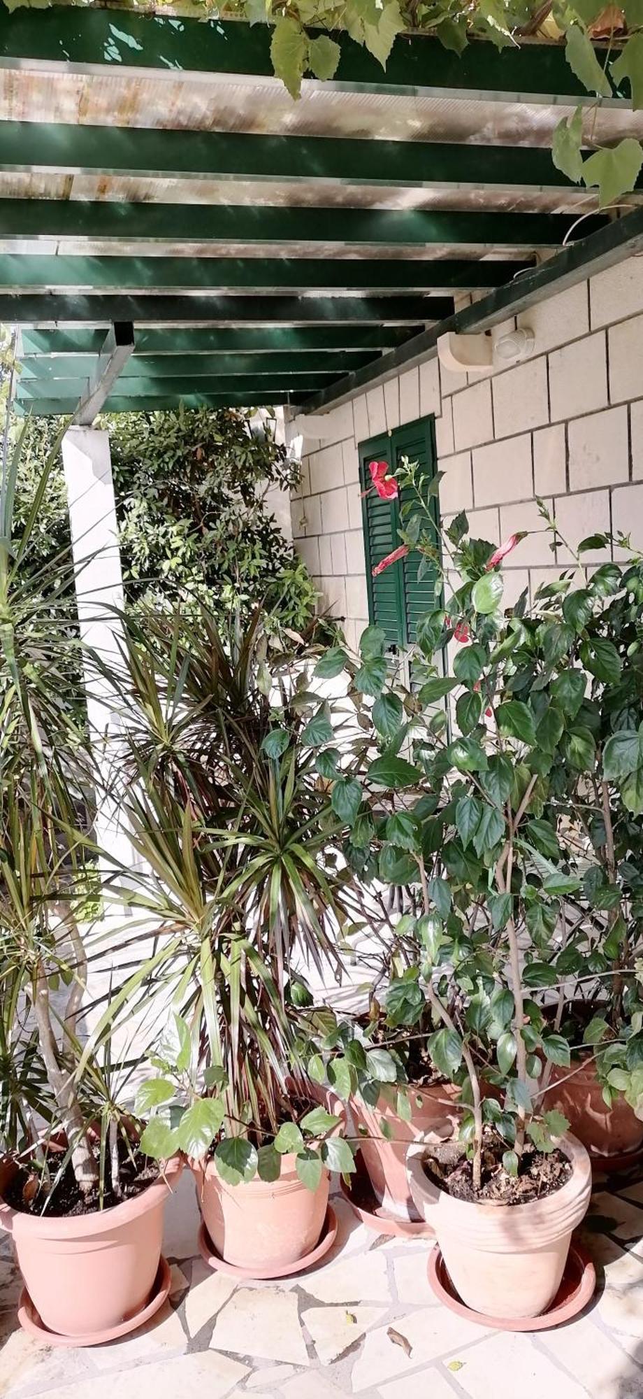 Apartments Fani Kanun Bol Ngoại thất bức ảnh